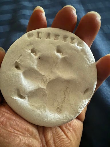 Photo from customer review